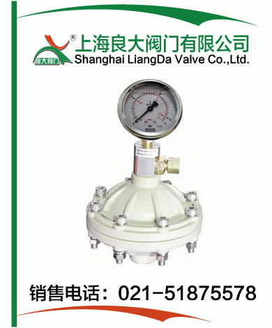 PP、PVDF脈沖阻尼器