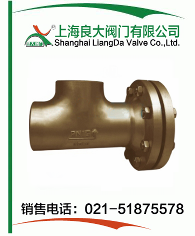 T型側流式過(guò)濾器